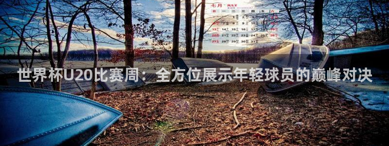 2026世亚预赛赛程表:世界杯U20比赛周:全方位展示年轻球员的巅峰对决