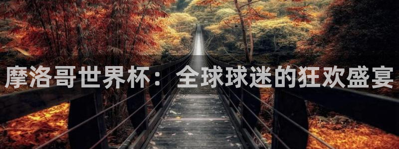 世界杯视频:摩洛哥世界杯:全球球迷的狂欢盛宴