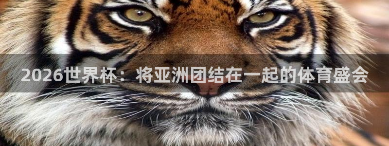 世界杯直播观看:2026世界杯:将亚洲团结在一起的体育盛会