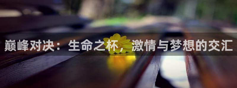 欧联杯直播:巅峰对决:生命之杯,激情与梦想的交汇