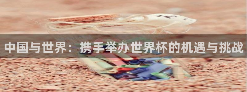世界杯足球直播:中国与世界:携手举办世界杯的机遇与挑战